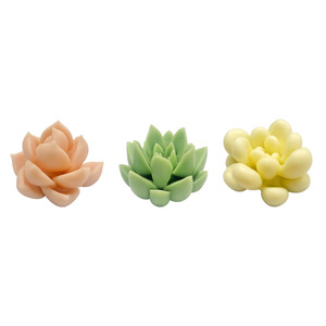 Moules en silicone <span class=keywords><strong>pour</strong></span> bougies en forme de succulentes stéréoscopiques 3D, moules <span class=keywords><strong>pour</strong></span> succulentes en gypse d'aromathérapie bricolage, moules <span class=keywords><strong>pour</strong></span> plantes en pot faits à la main - Product Image 6