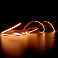Bandes lumineuses COB à télécommande 12V/24V IP20, longueur variable, 320 lumières/m, 8 mm, découpables, certifiées ROHS