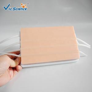 Maniquí de Ciencias Médicas, Almohadilla de Inyección, Modelo de Entrenamiento de Enfermería, Simulación de Inyección - Product Image 5