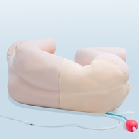 Simulateur médical en PVC pour la simulation de ponction lombaire, modèle standardisé pour la science médicale, l'enseignement et la formation.