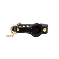 Collier pour chat et chien Apple AirTag, sûr, anti-perte, en cuir microfibre, avec plume de dessin animé, suivi de localisation des animaux de compagnie, design luxueux