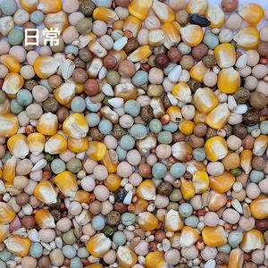 Tomada de fábrica misturada corrida pigeão alimentos secos atacado porgeão comida - Product Image 2