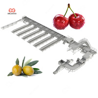 Fabriksprijs 200 kg fruit- en groentesorteermachine, koffiekersen- en koffiebonen sorteermachine voor olijven