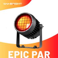 Projecteurs de scène LED matriciels RGBALC 6-en-1 IP65 en alliage d'aluminium, contrôle DMX512 Ra92+ pour DJ, discothèques, concerts et applications de parcs à thème