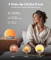 Réveil Ecozy avec Sons Apaisants et Lumières Nocturnes – 26 Sons Relaxants, 17 Lumières de Nuit, Réveil par Lumière du Soleil et Haut-parleur