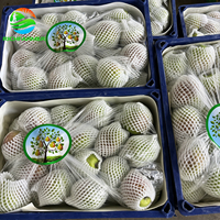 Poire fraîche Xinli n°7, origine Hebei, poire de qualité supérieure, goût sucré, juteux et croquant, panier d'exportation de 9 kg pour le marché égyptien, tunisien et nord-africain