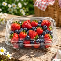 Boîte d'emballage alimentaire transparente à charnière en PET de 500 g pour fruits frais et baies