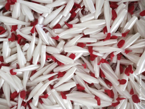 Fabricant de leurres de pêche, leurres Shad, 60 mm, 80 mm, 100 mm, matériau TPE, double couleur, longue résistance à <span class=keywords><strong>la</strong></span> traction, queue en T, leurre souple - Product Image 4