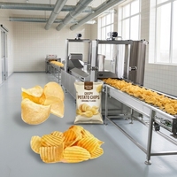 Volledig automatische verwerkingslijn voor groente-, aardappel-, banaan- en frietchips, met aangepaste capaciteit en multi-voltage voor snacks.