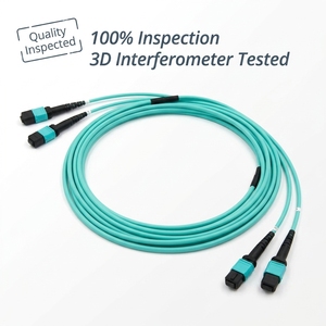Cable de Conexión MPO-12 (Hembra) a 12x LC/UPC OS2 Monomodo - Product Image 2
