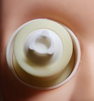 Cabeza Humana de Simulación para Prácticas de Cirugía Oftálmica, para Entrenamiento y Enseñanza Quirúrgica, con Certificación CE e ISO