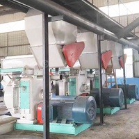 Ligne de plantes de luzerne de 2 tonnes Extrudeuse de paille de foin de son de blé Moulin à biomasse de bois Machine de fabrication de granulés de carburant à vendre Canada