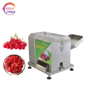 Cherry Pitting Core Remove Machine Small Cherry Stone Corer Electric Fruit Pitter