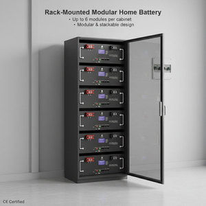 แบตเตอรี่ LiFePO4 แบบติดตั้งบนแร็ค 5 กิโลวัตต์ชั่วโมง 51.2 โวลต์ สำหรับสำรองไฟบ้าน ระบบพลังงานแสงอาทิตย์ ESS ผู้ผลิต OEM ODM ระบบกักเก็บพลังงานภายในบ้าน - Product Image 1