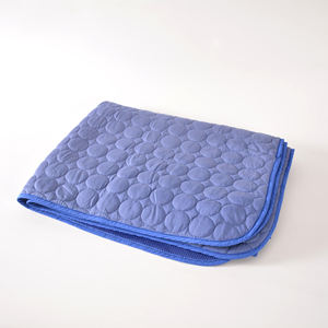 AINI Anpassbarer Hund halten Kühl matte Pet Ice Pad Teddy Matratze Wasserdichte Sommer kühlung Pet <span class=keywords><strong>Mat</strong></span> - Product Image 1
