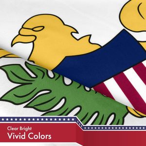 Islas Vírgenes Bandera de EE. UU. 3x5 pies Colores vibrantes Poliéster Interior/Exterior Resistente a los rayos UV Lite Wave Entrega rápida Bandera de país personalizada - Product Image 2