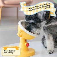 Ventes en gros de coupes en plastique pour animaux de compagnie, bols pour chiens et chats avec angles réglables pour les cadeaux promotionnels d'entreprise et d'anniversaire