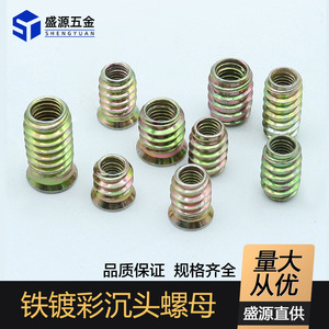Shengyuan Thread Inserts M6 M8 M10 Metric Coarse Fully Threaded Iron Plated For Furniture Board Embedded Parts - Product Image 4