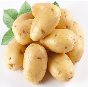 มันฝรั่งสดที่มีคุณภาพสูงเป็นบวกต้นกำเนิดมันฝรั่งขายตรง - Product Image 6