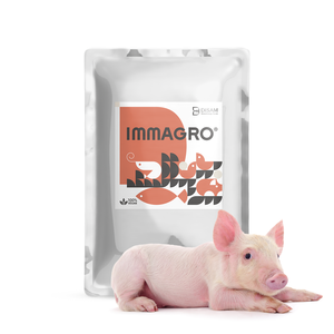 Extraits de bêta-glucanes personnalisés ODM IMMAGRO pour la santé des animaux d'élevage, la régulation immunitaire, le soutien immunitaire, l'alimentation animale - Product Image 1