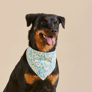 Bandana d'anniversaire pour <span class=keywords><strong>chien</strong></span> en coton de haute qualité, collier personnalisé avec logo, foulard pour animal de compagnie, motif dessin animé, design automnal, mouchoirs carrés en gros - Product Image 5