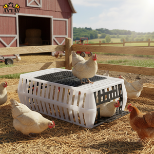 Nouveau Caisse de Transport Conique pour Poulets à Ouverture Latérale Supérieure, Capacité 10-12 Poulets, Matériau PE, AYTAV, Toutes Saisons, Longue Durée de Vie, Certifiée - Product Image 3