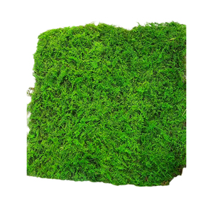 Vente en gros d'art mural en mousse naturelle véritable de haute qualité renne stabilisé vert mur en mousse conservée pour la décoration - Product Image 6