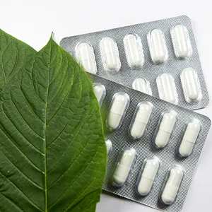 OEM L-carnitina loto verde capsula di tè integratore di aminoacidi per la perdita di peso degli adulti e dimagrimento non per le donne in gravidanza