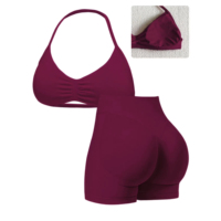 Nouvelles couleurs arrivées, ensemble de 2 pièces sans couture, soutien-gorge de sport court en nylon et élasthanne doux pour femmes, pour le fitness et le yoga