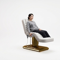 Chaise Hydraulique de Luxe Réglable, Table de Massage pour Salon de Spa, Électrique Portable, Moderne, 3 Moteurs, Lit de Beauté du Visage Incurvé