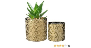 Maceta Metálica Moderna Minimalista de Alta Demanda con Acabado Mate para Decoración Contemporánea del Hogar u Oficina, Disponible para la Venta - Product Image 4
