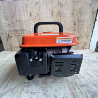 Premium 50/60Hz 220V 110V Outdoor Camping 2-Takt Kleiner Benzin-Generator