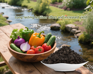 <span class=keywords><strong>Engrais</strong></span> organique de fumier de vache de <span class=keywords><strong>granules</strong></span> noirs de libération contrôlée d'usine de nutrition complète - Product Image 4