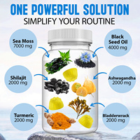 Hatmanlabs 60 Gummies Suppléments de Mousse de Mer Gummies de Mousse de Mer avec Huile de Nigelle Ashwagandha Curcuma Racine de Bardane