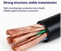 Fil de circuit d'urgence NH-RVV résistant au feu 300/500V 16AWG 8*1.5, câble flexible multiconducteur automobile