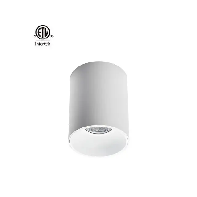 SZDAYTON Lighting-luz descendente de cilindro colgante, foco led COB montado en superficie, serie Master D IP65, amplio rango de potencia, 15W-90W