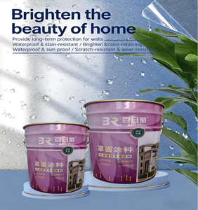 Revêtement protecteur <span class=keywords><strong>transparent</strong></span> en silicone liquide acrylique BAIRIJU pour surfaces extérieures - Product Image 1