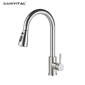 SANIVITAL Moderne 2-in-1 Ausziehbare Küchenarmatur aus Edelstahl SUS 304 mit Kalt- und Warmwasser - Product Image 1