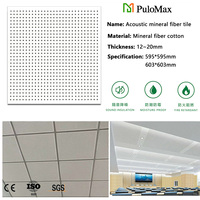 Plaques de plafond en fibres minérales perforées modernes NRC 0.65, insonorisantes, 600x600mm (2x2ft) pour bureaux, ateliers, salles de classe, résistantes au feu