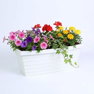 Pot de fleurs en plastique blanc en forme de bateau, vente en gros, matériau PP, fond à 4 trous de drainage avec insert en grille pour jardin et pépinière - Product Image 1