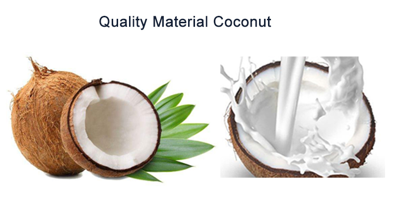 Bulk Plant Extract Dried Organic Coconut Milk Powder