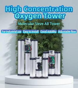 Máy tạo oxy/ozon công nghiệp <span class=keywords><strong>PSA</strong></span> <span class=keywords><strong>10L</strong></span>/phút, sử dụng sàng phân tử oxy zeolite - Product Image 3