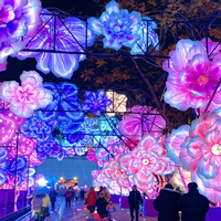 Lanterne futuriste faite à la main 2025, lanternes géantes en soie d'intérieur/extérieur, personnalisées, décoratives pour le Nouvel An chinois, parc d'attractions