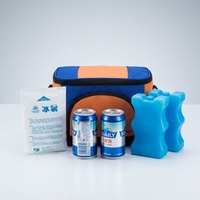Sac isotherme réutilisable en forme de vague, léger, pour refroidir les boissons, boîte à lunch, sac de camping et pique-nique