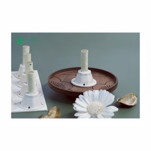 100% Natural no químico Moxa medicina secreta eficaz transdérmica moxibustión de grano de trigo para eliminar enfermedades - Product Image 5