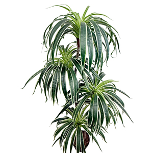 Árbol de Agave Artificial y Árbol de Dracaena Draco al por Mayor, 120 cm, Plantas Tropicales Naturales para Decoración del Hogar, Árbol Artificial de Interior - Product Image 3