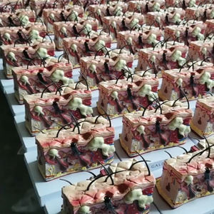 Science médicale modèle de peau anatomique modèle de structure de peau d'anatomie d'éducation élargie - Product Image 4