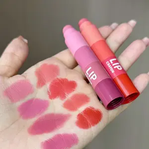 Private label 4-color lipstick combination nude matte velvet lipstick long lasting waterproof customization rouge a levre