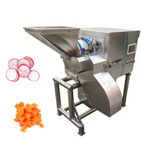 3D Multifunctionele Vriesvlees-, Groente- en Fruit-snijmachine, Kubus-snijder en -versnipperaar voor voedselverwerking
