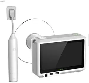 Unità di sabbiatura del compagno di profilassi del flusso d'aria dentale sabbiatrice automatica portatile dentale